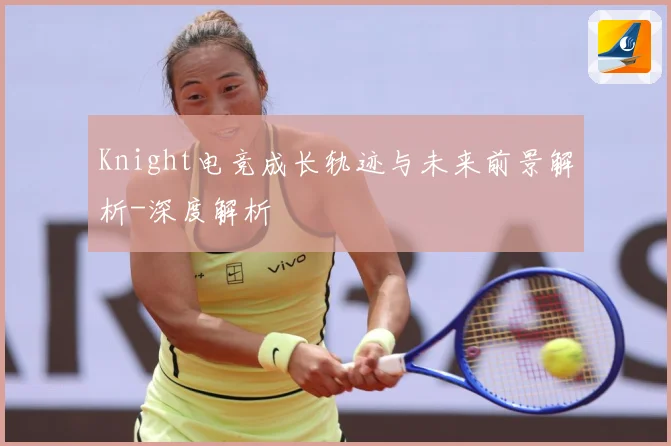 Knight电竞成长轨迹与未来前景解析-深度解析