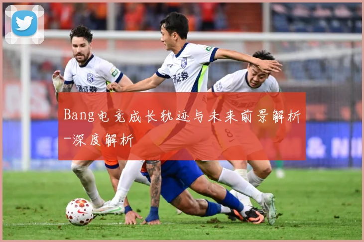 Bang电竞成长轨迹与未来前景解析-深度解析