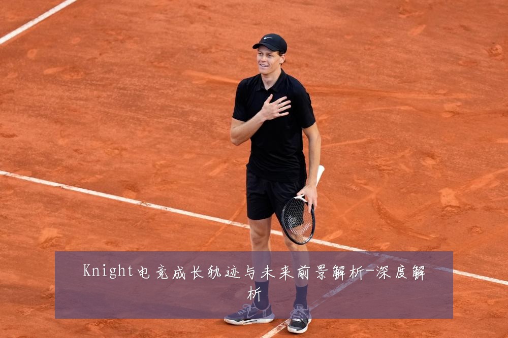 Knight电竞成长轨迹与未来前景解析-深度解析