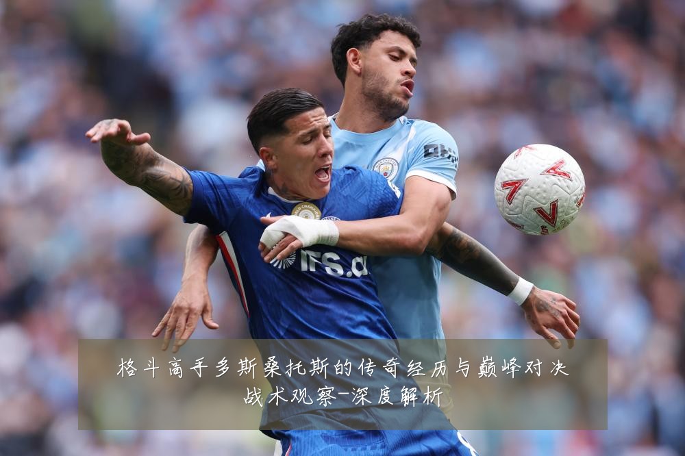 格斗高手多斯桑托斯的传奇经历与巅峰对决战术观察-深度解析