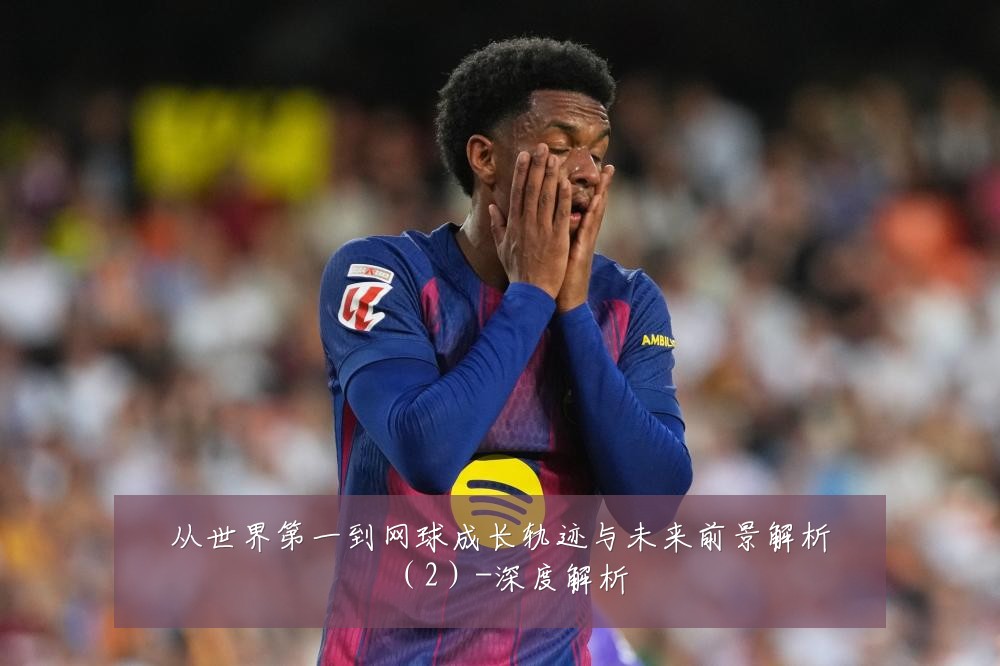 从世界第一到网球成长轨迹与未来前景解析(2)-深度解析