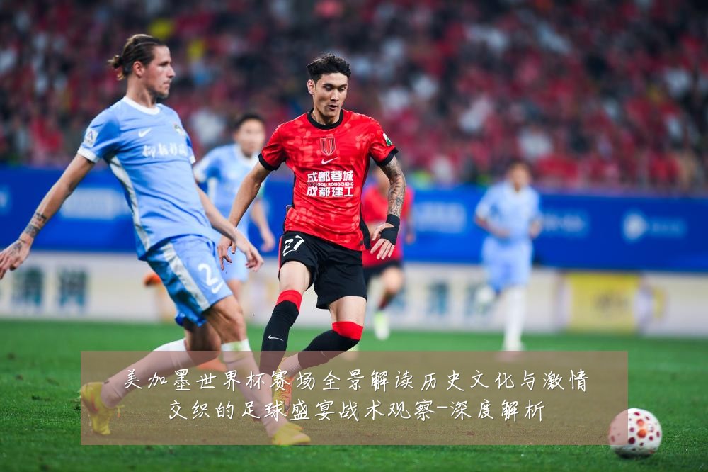 美加墨世界杯赛场全景解读历史文化与激情交织的足球盛宴战术观察-深度解析